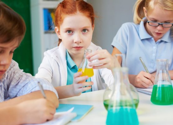 Curiosidades sobre os equipamentos mais utilizados em laboratórios escolares e acadêmicos Curiosidades sobre os equipamentos mais utilizados em laboratórios escolares e acadêmicos